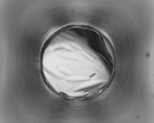 X0000090720935200708171923