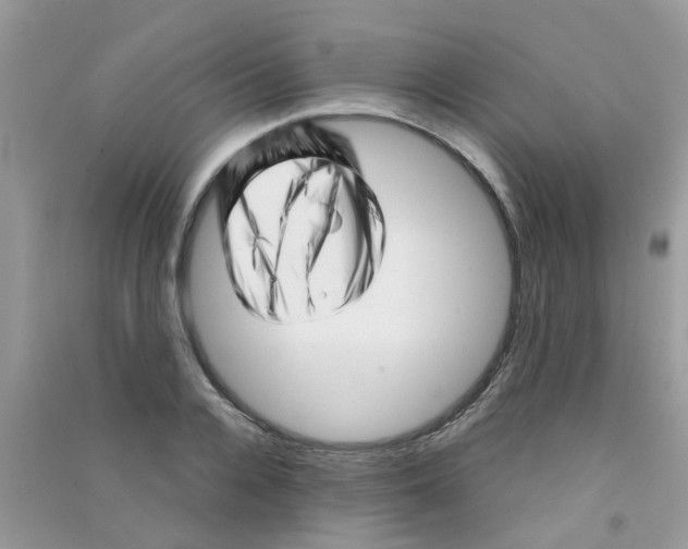 X0000090720936200708171923