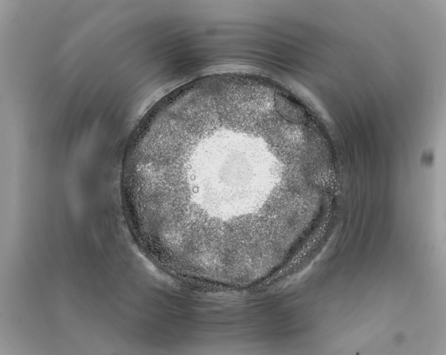 X0000090720937200708171923