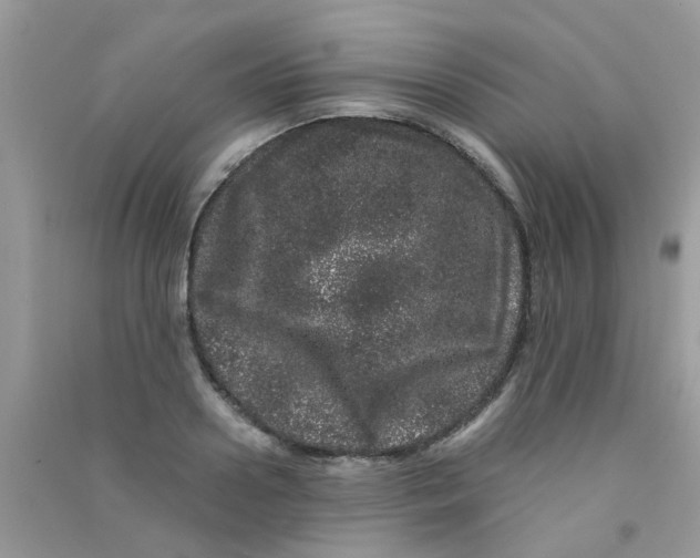 X0000090720938200708171923