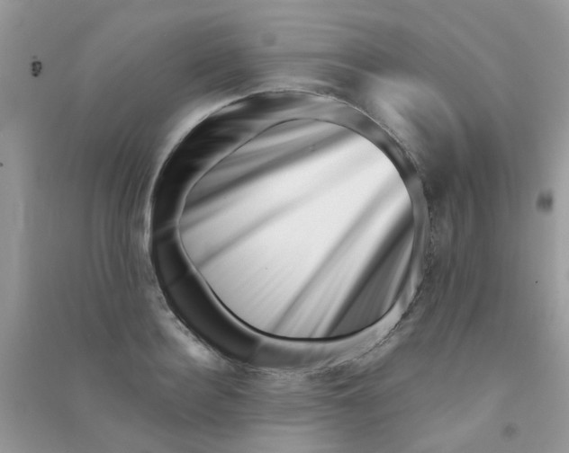 X0000090720940200708171924