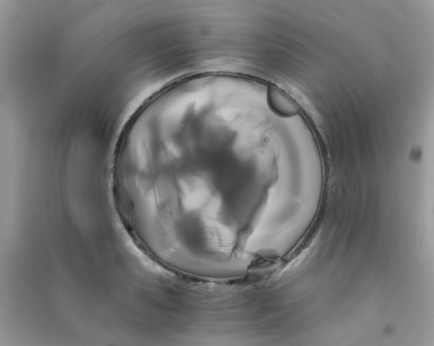 X0000090720941200708171924