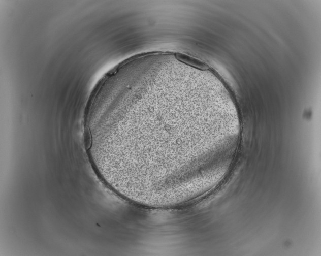 X0000090720944200708171924