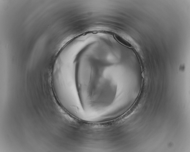 X0000090720945200708171924