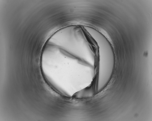 X0000090720946200708171924