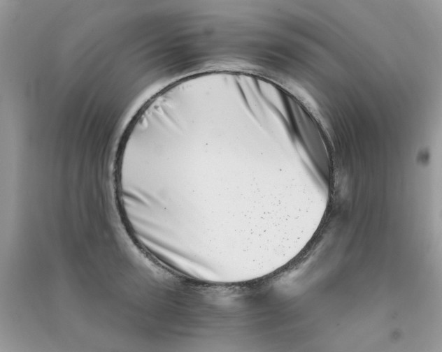 X0000090720947200708171924