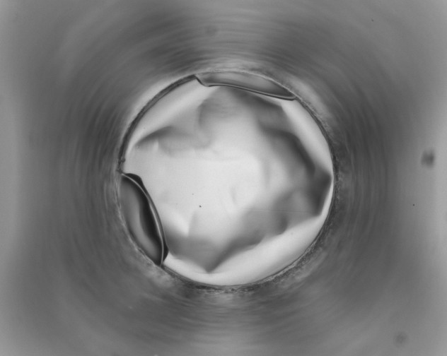 X0000090720948200708171924