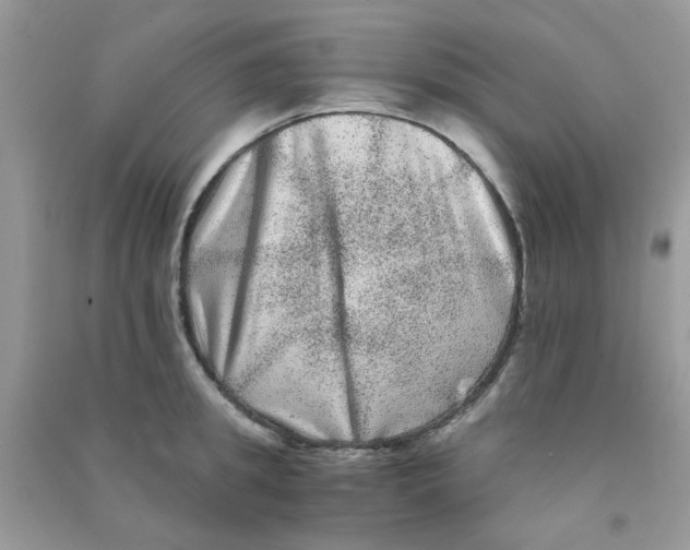 X0000090720949200708171924