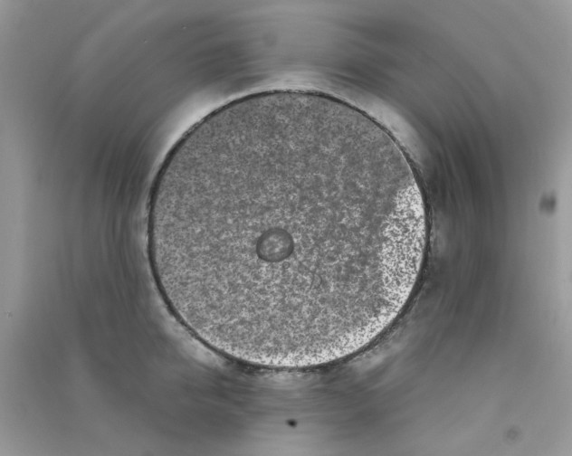 X0000090720950200708171924