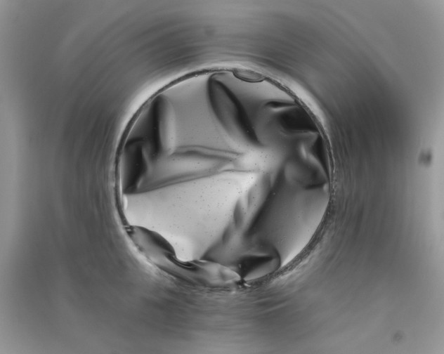 X0000090720951200708171924