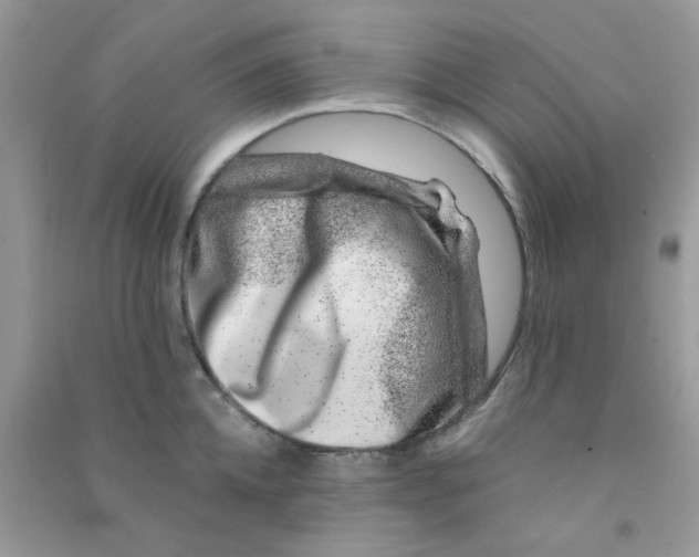 X0000090720952200708171924