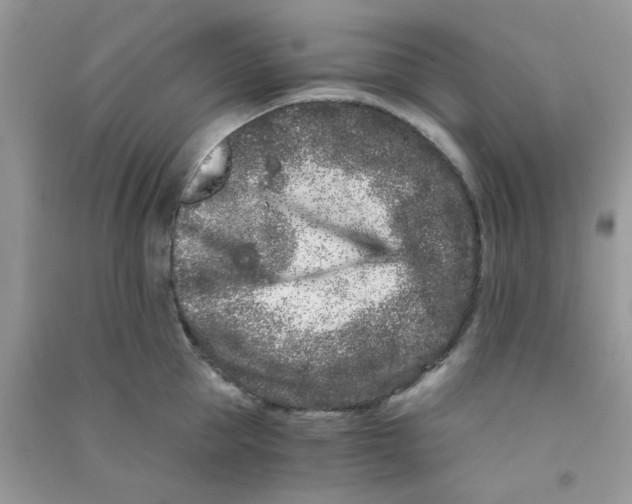 X0000090720953200708171924