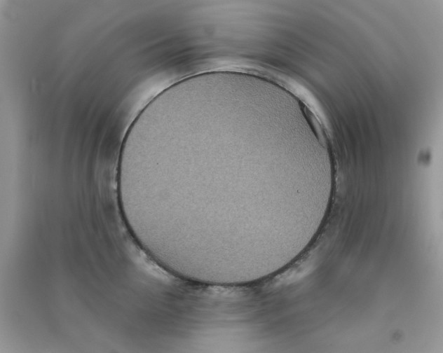 X0000090720954200708171924