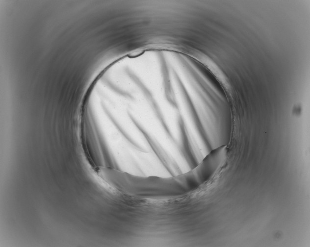 X0000090720955200708171924