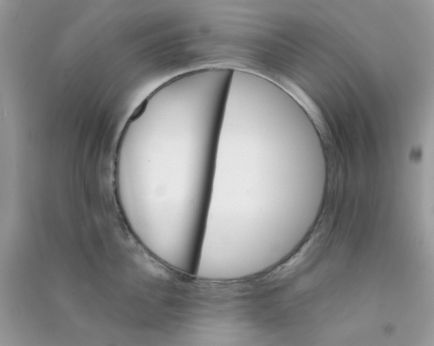 X0000090720956200708171924