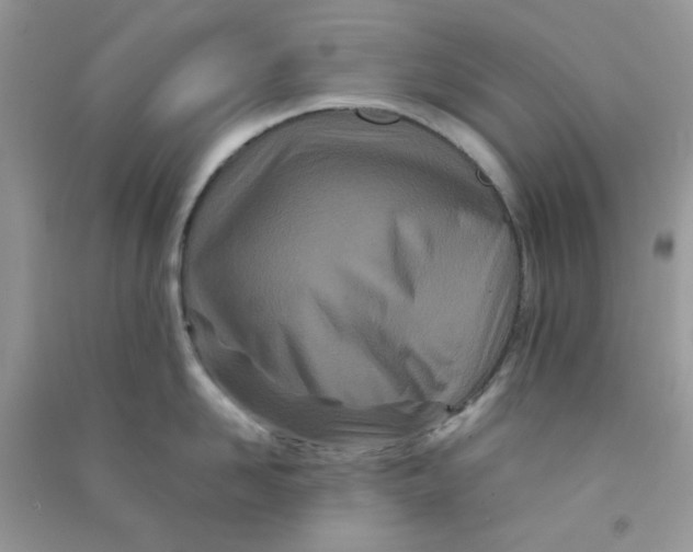 X0000090720958200708171924