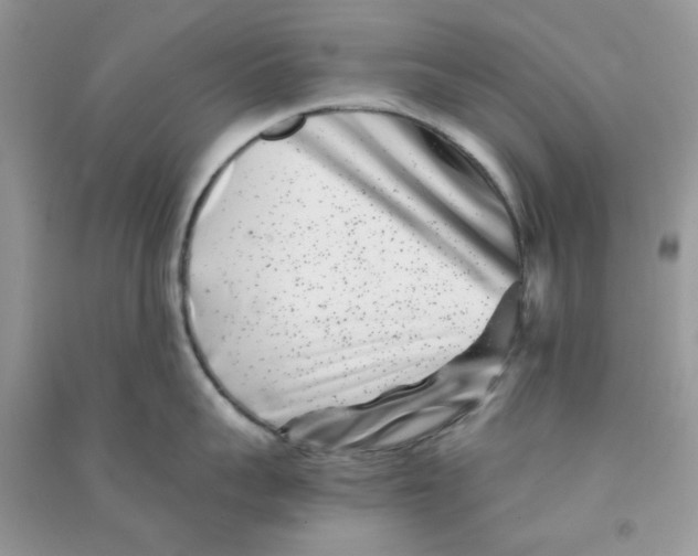 X0000090720959200708171924