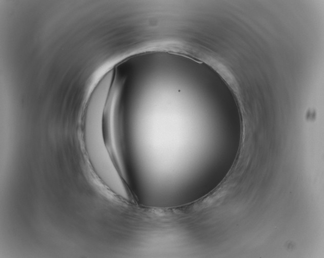 X0000090720960200708171924