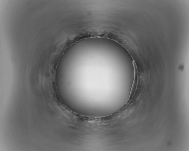 X0000090720961200708171923