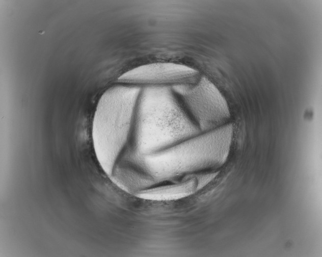 X0000090720962200708171923