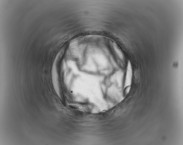 X0000090720963200708171923