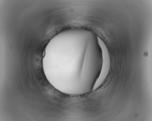 X0000090720964200708171923