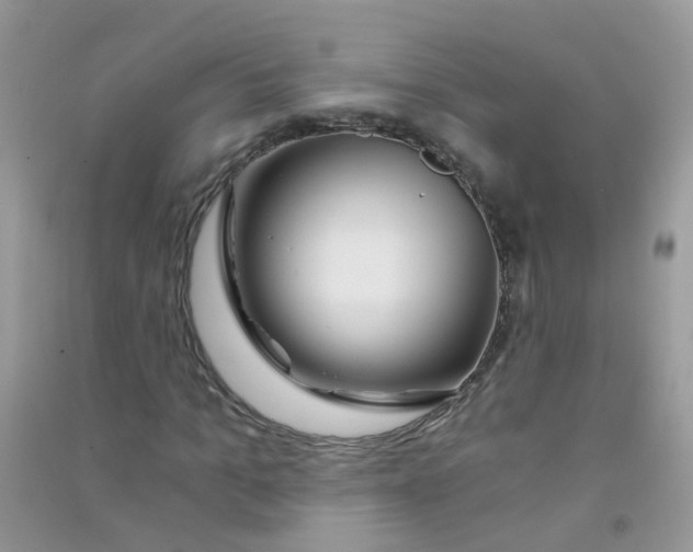 X0000090720965200708171923