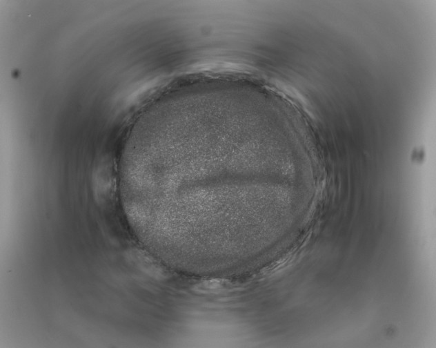 X0000090720966200708171923