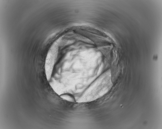 X0000090720967200708171923