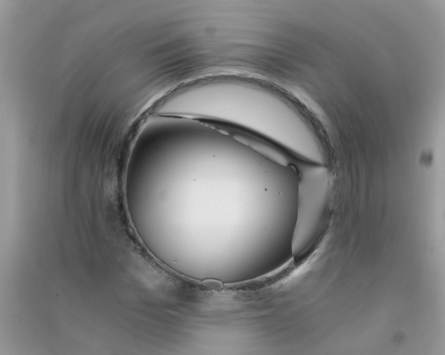 X0000090720969200708171923