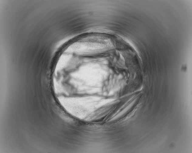 X0000090720971200708171923