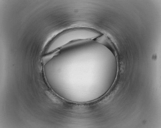 X0000090720973200708171923