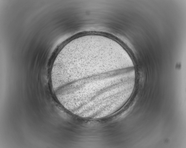 X0000090720974200708171923