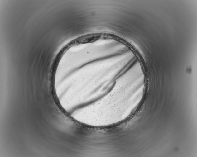 X0000090720975200708171923