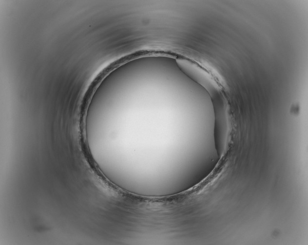 X0000090720976200708171923