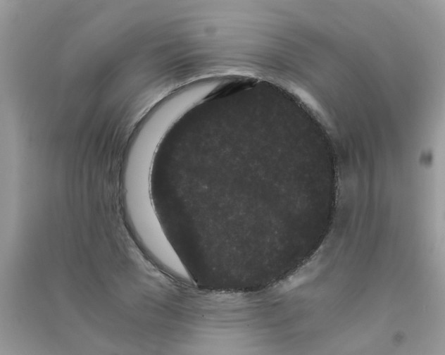 X0000090720977200708171923