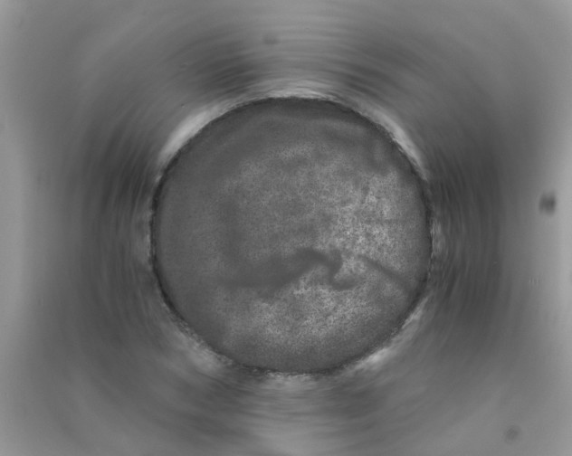 X0000090720978200708171923