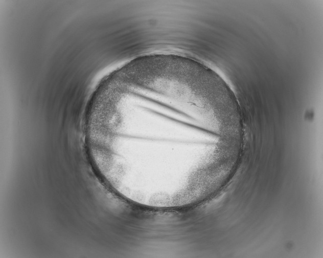 X0000090720979200708171923