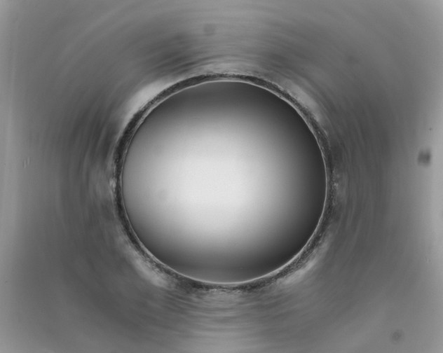 X0000090720981200708171923