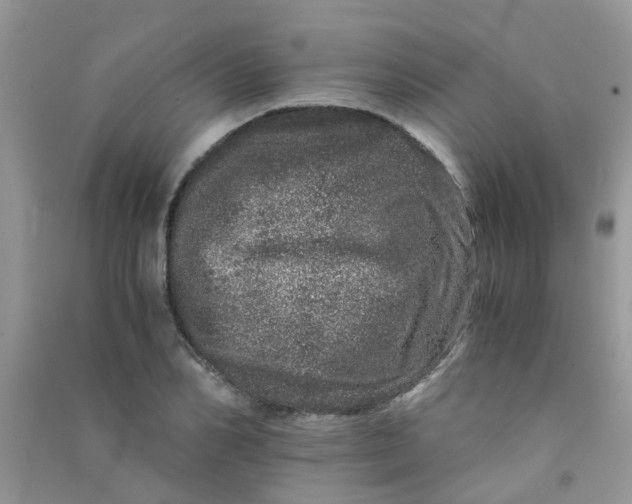 X0000090720982200708171923