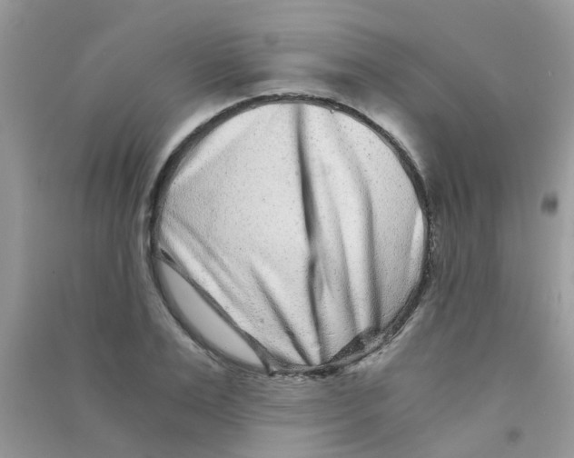 X0000090720983200708171923