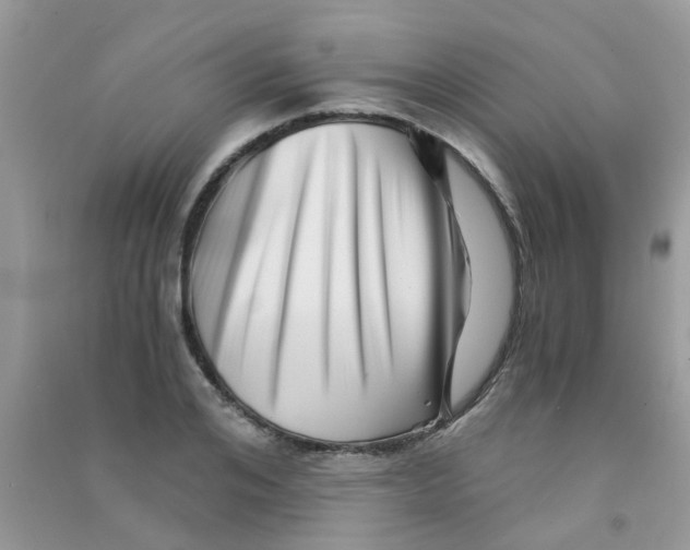 X0000090720984200708171923