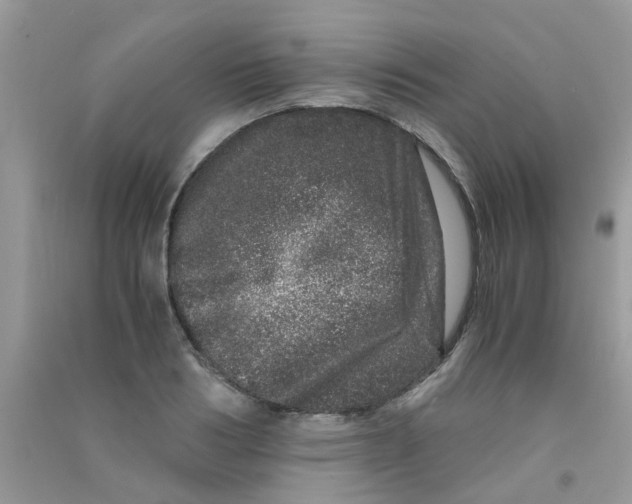 X0000090720986200708171923