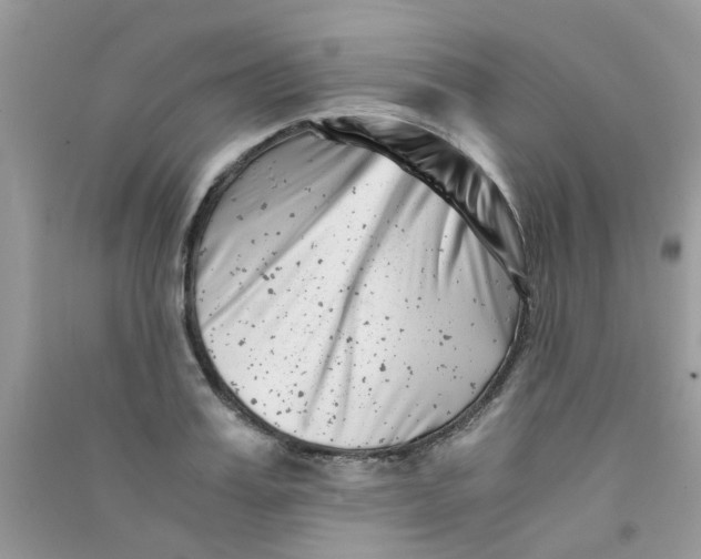 X0000090720987200708171923