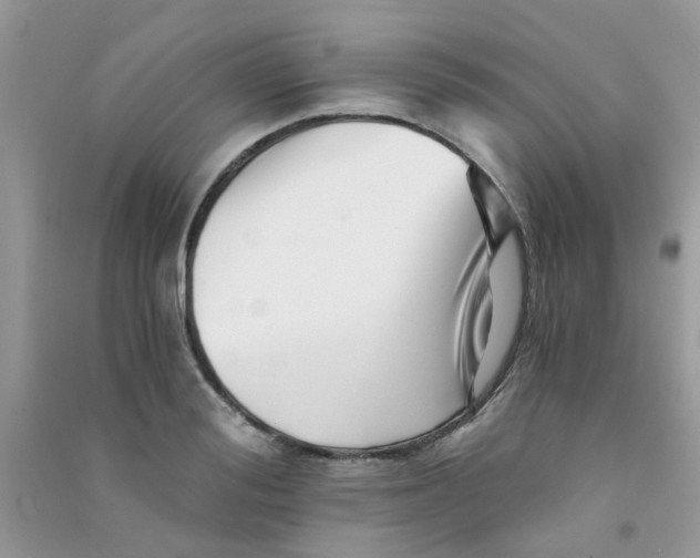 X0000090720988200708171923