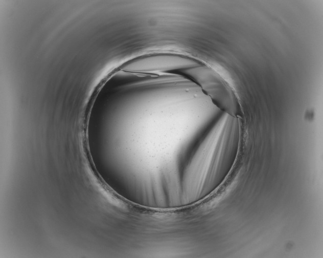 X0000090720989200708171923