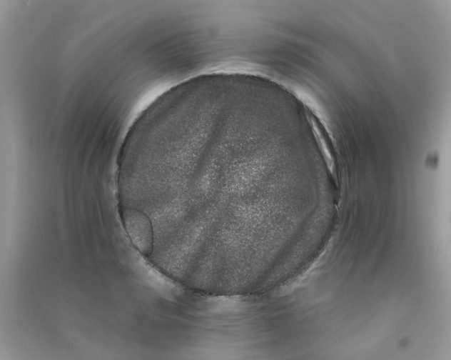 X0000090720990200708171923