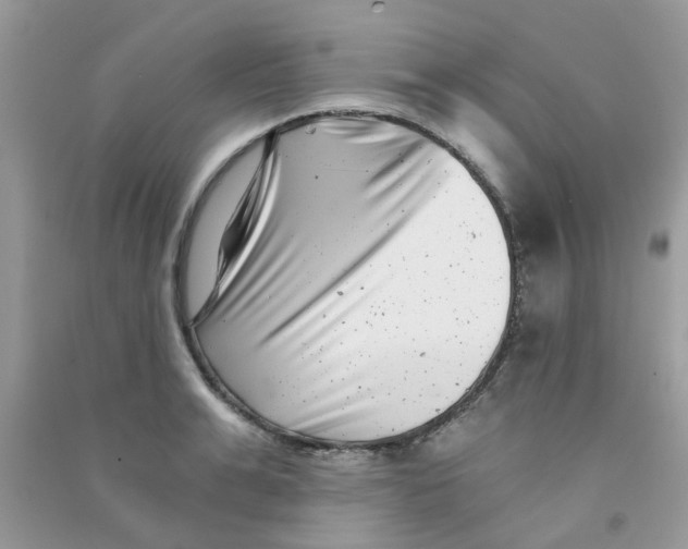 X0000090720991200708171923