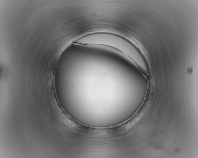 X0000090720993200708171922