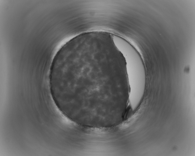 X0000090720995200708171922